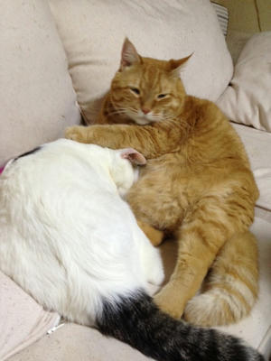 2013061113.JPG