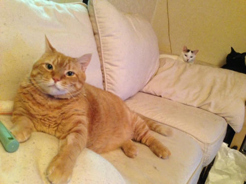 20130627.JPG