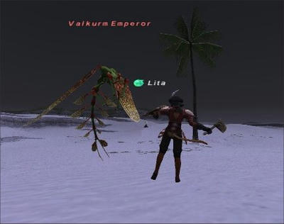 nm2.jpg