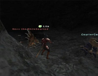 nm3.jpg