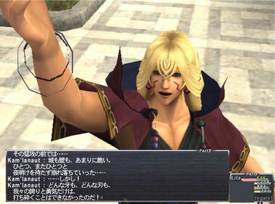 kam.jpg