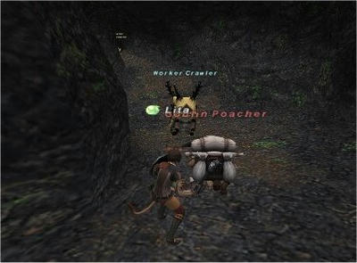 whm50.jpg