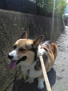 きょうも あついね