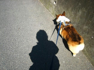 きょうも いいてんきだね