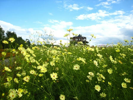 花の広場