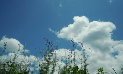 今日の空