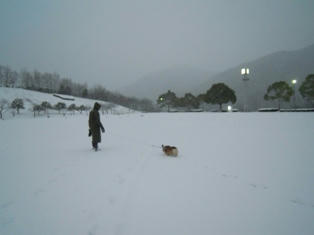 一面の雪