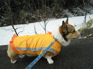 雪がふってるよ