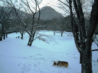 運動公園