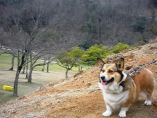 昨日の運動公園で