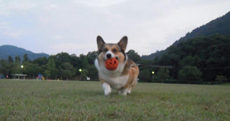 ぼくは ここが いちばんだよ