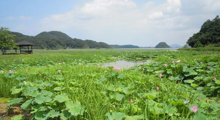 湖山池公園