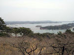 松島眺望（下に映っているのは桜。だからホントは春が見ごろだそうです）