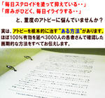 pr00.jpg