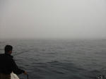 11050811.jpg