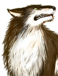 wolf.jpg