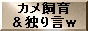カメ飼育＆独り言ｗ