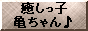 癒しっ子　亀ちゃん♪