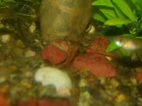 DSC00881.JPG
