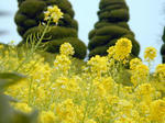 f55c02a4.jpg
