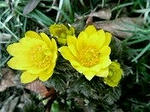 s-200803091630000.jpg