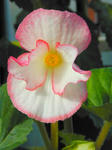 d10e5f64.jpg