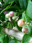 s-200809150816001.jpg