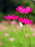 ee6372a9.jpg
