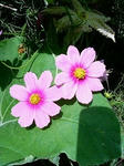 s-200809231133000.jpg