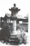 87176461.jpg