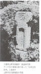 fc147d2e.jpg