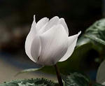 610f2453.jpg