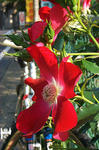 a4b40082.jpg