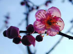 70b0150b.jpg