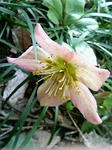 s-200903311406001.jpg