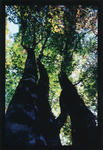 s-IMG_0003.jpg