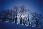 s-IMG_0004.jpg