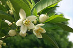 2c045ae3.jpg