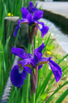 ff9c828f.jpg