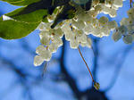 340f3a67.jpg