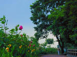 d2d73029.jpg
