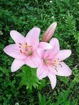 s-200907201317000.jpg