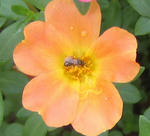 046ae321.jpg
