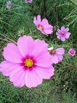 s-200909221503000.jpg