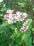 s-200909221022000.jpg