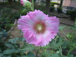 5acb7703.jpg