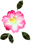3d77eebf.gif