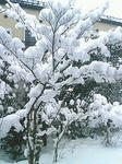s-201001011444000.jpg