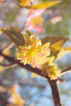 s-IMG_0023.jpg