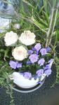 s-2010021112230000.jpg